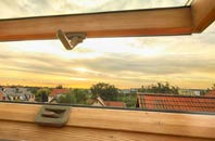 rated Dolphinston roof window companies